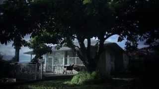 Kaimuki. House For Rent. Real Estate Video
