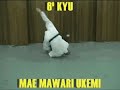 Mae Mawari Ukemi(6ºKyu)