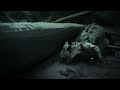 How Dinosaurs Went Extinct How Dinosaurs Went Extinct