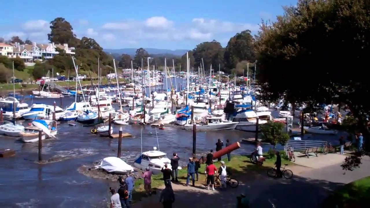 Santa cruz tsunami right now