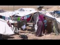 kurds