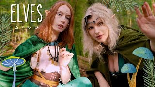 Two Elves find YOU in the woods, ASMR , Nature sounds