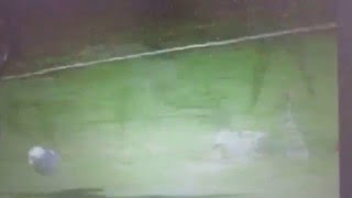 Y8h8mVuUzgc Video Image