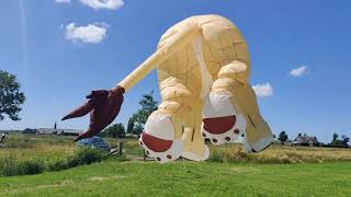 First Inflation Of Simba On A Lifter