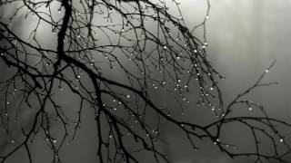 Rain Deep Thunder Nature Sounds For Relax Study Sleep Rain Deep Thunder Nature Sounds For Relax Study Sleep