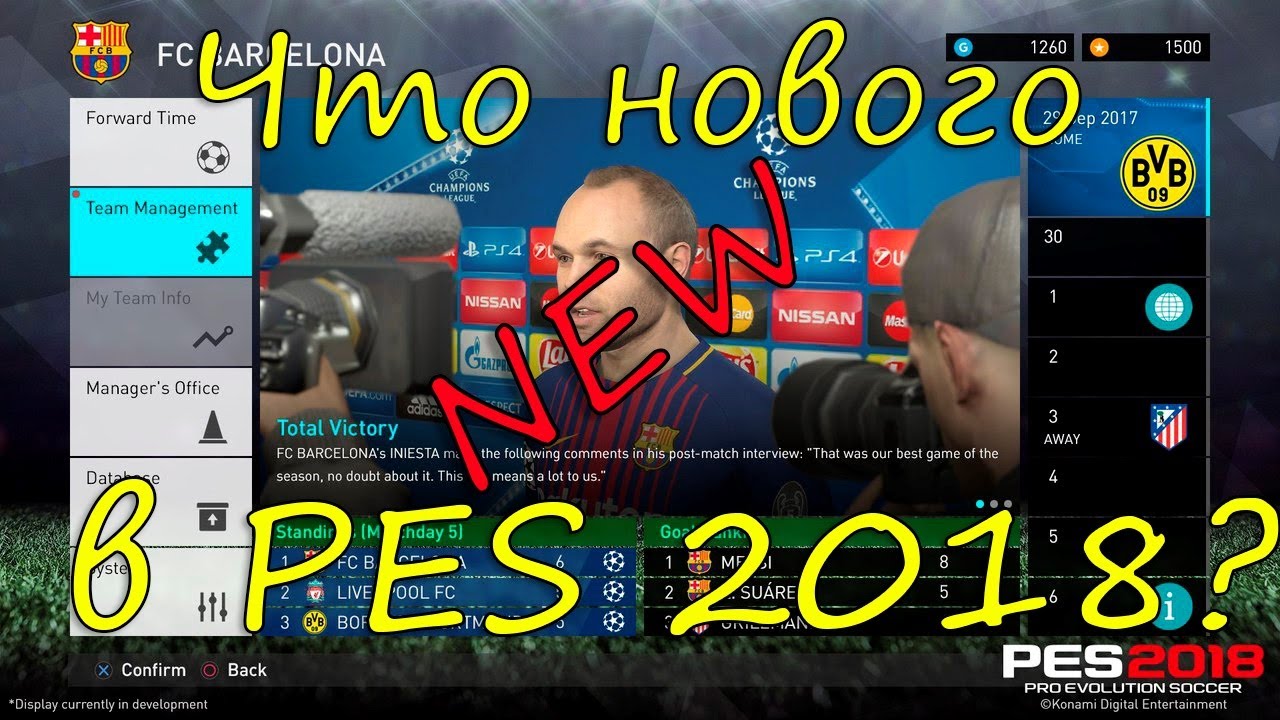 Символ и характеристика 2018 года Символ и характеристика 2018 года