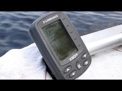 сом на квок с эхолотом видео сом на квок с эхолотом видео