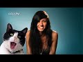 alloytv