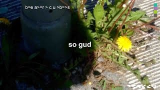 Bearcubs - So Gud