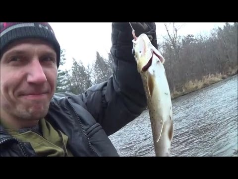 рыбалка на реке абакан и его притоках видео рыбалка на реке абакан и его притоках видео