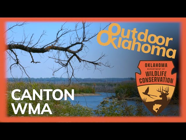 Watch Canton Wildlife Management Area on YouTube.