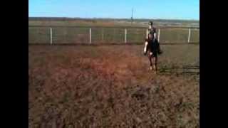 Watch Craig Morgan My Kind Of Woman video
