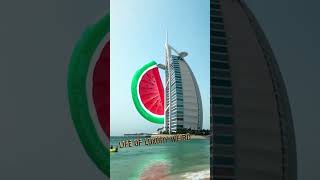 Life Of Luxury Weird Dubai Blow Gob