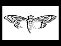 Cicada 3301 Song: The Instar Emergence (761)