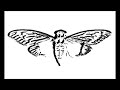 Cicada 3301 Song: The Instar Emergence (761)