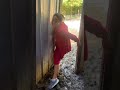 Donkey Has a Good Laugh Watching Woman Struggling to Walk Through Dirt - 1327507