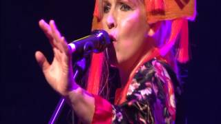 Toyah - Voodoo Doll