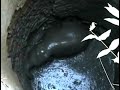 Stray elephant calf rescued from well in J'khand Watch the video Yahoo! India
