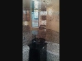 Acropolis Gardens 21-05 33rd Street Luis F Martinez LIC Broker The Agency RE Services