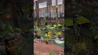 Ooty Thread Garden Ooty Tourist Guide Opposite Ooty Lake