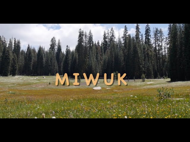 All Videos