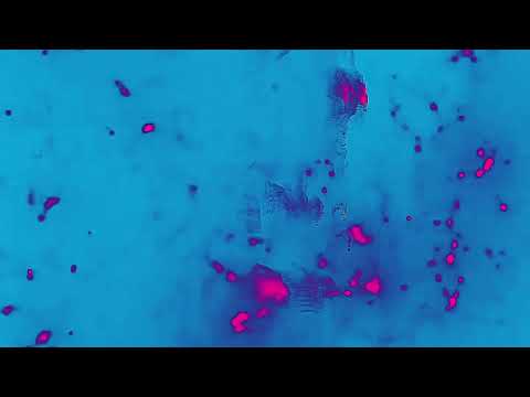 All Videos