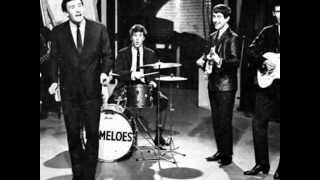 Watch Tremeloes Do You Love Me video