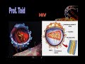biologia: vírus   parte 03  prof  toid 