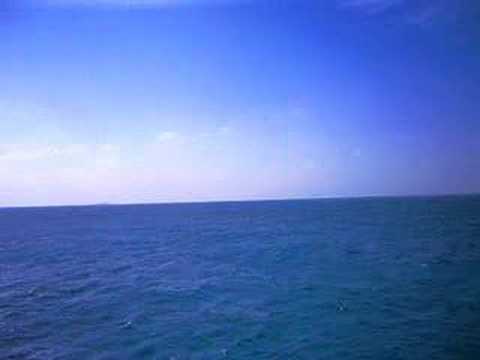 View from JWV 728