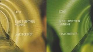 Watch Echo The Bunnymen Polly video