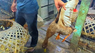 Duck Dressing Skills Amazing Duck Cutting Skills In Bd Market By Expert Cutter Man
