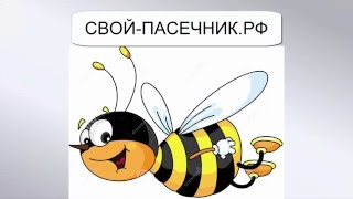 ПОЛЬЗА МЕДА ДЛЯ ОРГАНИЗМА #ПользаМёда