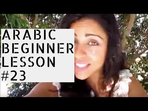 Arabic Beginner Lesson 23- Buon Appetito!