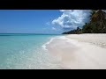 Saona