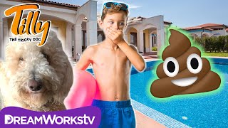 Poop Ruins The Pool Party Tilly The Tricky Dog