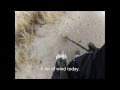 garett fisher minelab