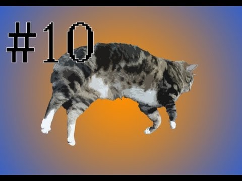 Cat Tales - The Friendship Song!