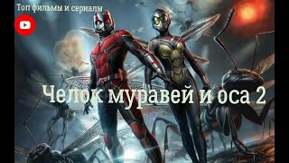 Человек Муравей И Оса Квантомания 💥 Русский Трейлер 4K 💥 Фильм 2023