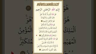 Hüvellahüllezi