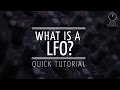 What is a LFO? (Quick Tutorial)
