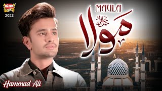 Heart Touching Kalam 2023 | Maula | Hammad Ali | Official Video | Heera Gold