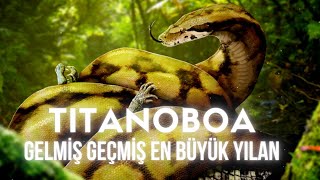 Dünya'nın gelmiş geçmiş en büyük yılanı Titanoboa