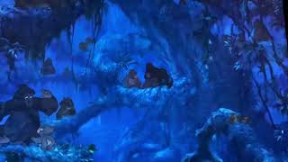 Tarzan 1999 African-Bushed Chameleon Screen-Time