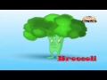 dictionary for kids