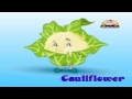 dictionary for kids
