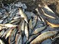Волынские браконьеры задержаны рыбохраной ч. 1
