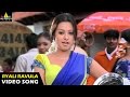Nenunnanu Songs | Ryali Ravulapaadu Video Song | Nagarjuna, Aarti, Shriya | Sri Balaji Video