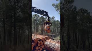 John Deere 1510G Forwarder In Action In The Forest #Johndeere #Harvester #Automobile #Farming #Viral