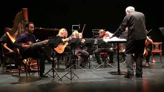 Sabā (2007) for Tār and Ensemble