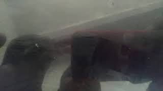 Fnaf Ar Pigpatch Jumpscare